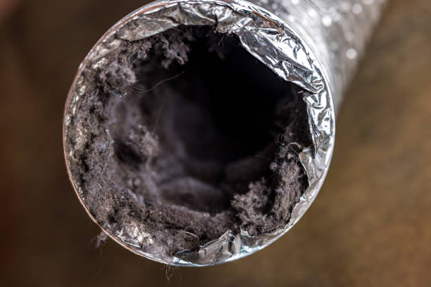 Best Air Duct Cleaning Company Near Me  in Welcome, NC